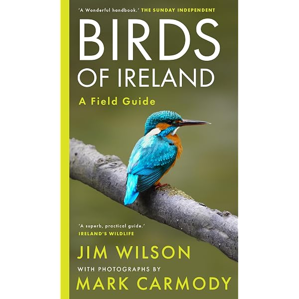 Ireland's Birds: Myths, Legends and Folklore: MacCoitir, Niall